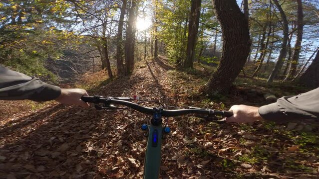 POV shot of e bike going downhill in the forest, mountain bike MTB