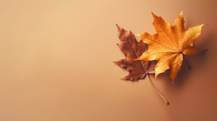 Fototapeta premium Autumn background. Autumn maple leaves on a beige background. Generative AI