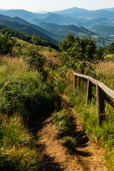 Fototapeta na wymiar Trekking trial trough wilderness and scenic nature at summer in Bieszczady Mountains, Carpathians, Poland.