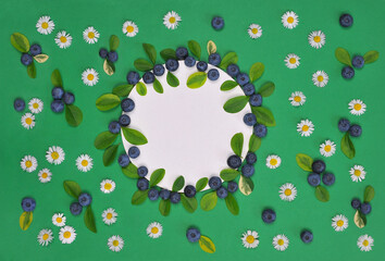 Background with daisies ,blueberries and white frame . White round frame mockup ,decorated with fresh blueberries and leaves on green background with white daisies. Top view, flat lay. Free copy space