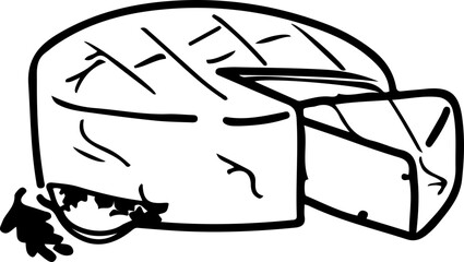 Camembert Cheese Sketch