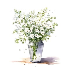 White gypsophila in vase isolated on white background