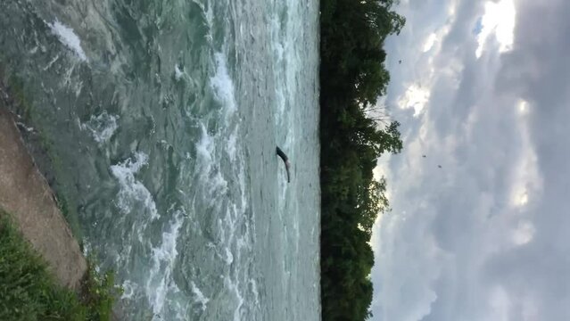 Powerful river current preceding the waterfall