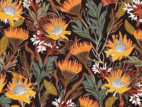 australia flowers pattern background