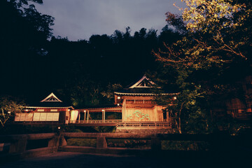 伊豆の日本庭園