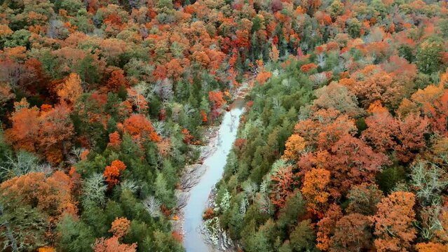 Aerial drone flying over Arkansas, ozark mountain woods and river in autumn with fall colored forest leaves