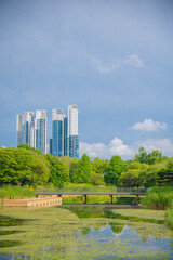 Obraz premium central park