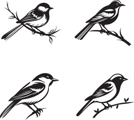 beautiful bird silhouette outlined drawing vector