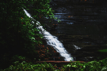 Falling for the beauty that flows with grace