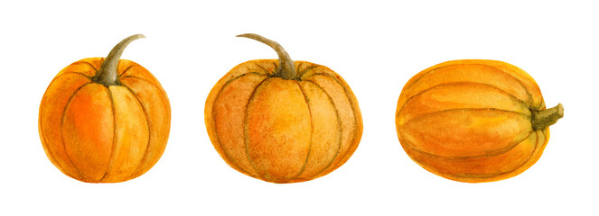 Set watercolor pumpkins on a white background. Autumn illustration for Thanksgiving, Halloween, autumn festival, harvest. Elements for packaging design, postcards, textiles, invitations.