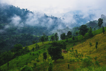 Embracing the calm within the clouds of a new morning