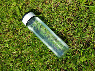 A transparent thermos of a bottle of water on a background of green grass on a sunny summer day. Wallpaper for phone. Healthy lifestyle.