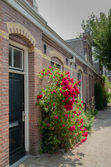 Fototapeta na wymiar old brick house with a bush of roses near the door