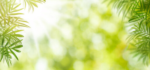 Spring green background border. Natural green leaves and abstract bokeh bubbles