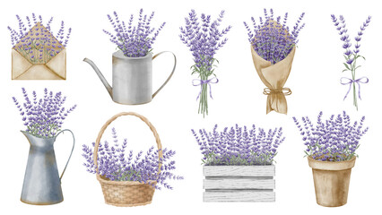 Lavender Flowers set. Hand drawn watercolor illustrations of Provence bouquets on isolated background. Floral bundle with herbs in pot and watering can for wedding invitations or greeting cards.