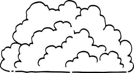 hand drawn bush illustration.