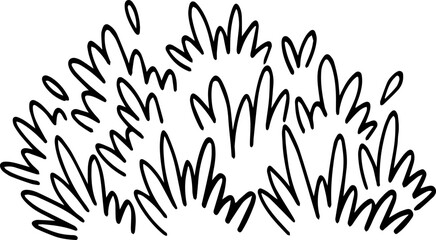 hand drawn bush illustration.