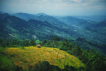 Breathing in the magic that only nature can offer