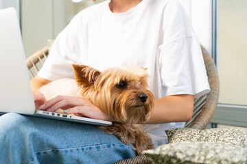 Young Woman Typing on Laptop with Yorkshire Terrier by Her Side.