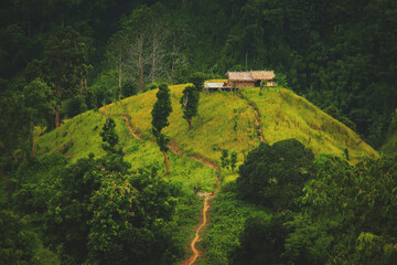 Witnessing the artistry of creation in every living thing