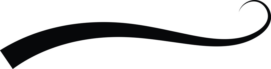 Swoosh typography text tail shape. Calligraphic decoration swish symbol. Retro underline, black stroke or ornament design vector illustration