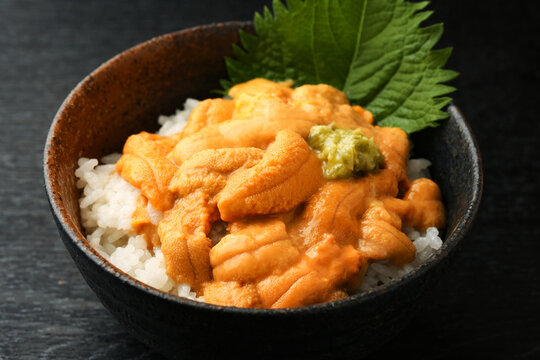 ウニ丼
