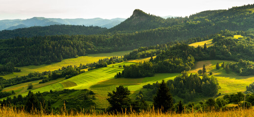 Green landscape in Slovakia mountains near Szczawnica. Spring in Pieniny mountains. Spring landscapes of Slovakia. Panoramic green  landscape.