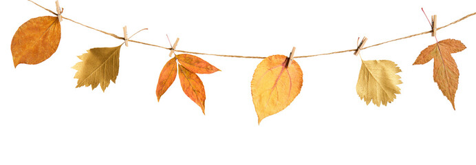 Autumn floral diy garland from dry leaves cut out on transparent background