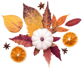 Autumn floral composition. White decorative pumpkin and colorful autumn leaves cut out on transparent background