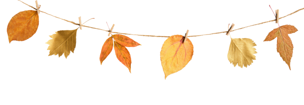 Autumn floral diy garland from dry leaves cut out on transparent background