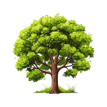 Cartoon realistic Tree Isolated on White Background. Cute green plant, forest. Can be used to illustrate any nature or healthy lifestyle topic.
