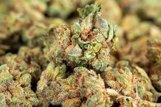 medical Cannabis, Cannabisflower macro
