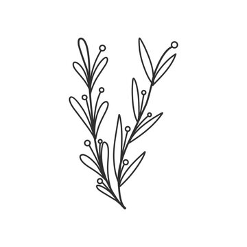 Floral branch and minimalist leaves for logo or tattoo. Hand drawn line wedding herb, elegant wildflowers. Minimal line art drawing for print, cover or wallpaper