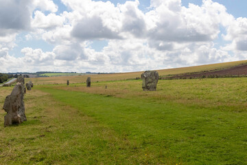 Stones along the West Kennet Avenue World Heritage Site