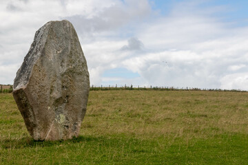 Stones along the West Kennet Avenue World Heritage Site