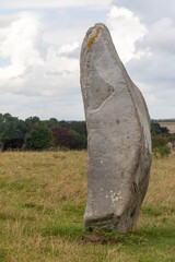 Stones along the West Kennet Avenue World Heritage Site