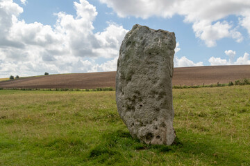 Stones along the West Kennet Avenue World Heritage Site