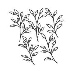Floral branch and minimalist leaves for logo or tattoo. Hand drawn line wedding herb, elegant wildflowers. Minimal line art drawing for print, cover or wallpaper