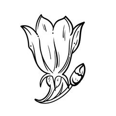 Flower foliage line branch