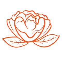 Flower foliage line branch