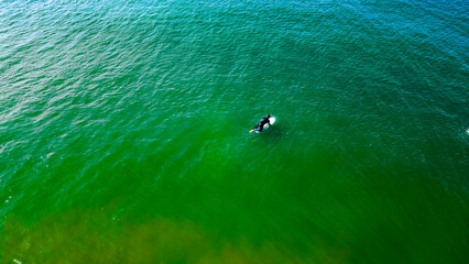 Praia Carcavelos Portugal Lisboa Verão Europa Cascais Surf Ondas Mar Oceano Atlântico Ondas Azul Verde Paisagem Natural Natureza Português Portugal Marginal Freguesia Portuguesa Forte São Julião Barra