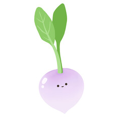 Radish 