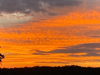 red sunset over the field