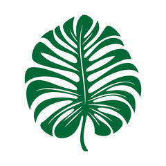 Fototapeta na wymiar tropical leaf