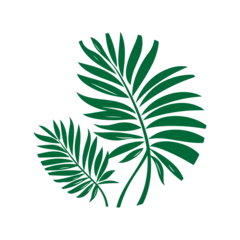 Rolgordijnen Monstera tropical leaf