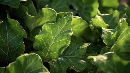  a close up of a green plant with leaves on it.  generative ai