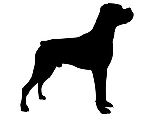 Boxer dog silhouette vector art