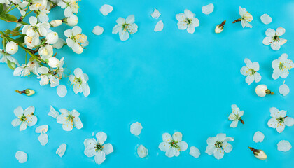 blossom in spring with blue background with flowers, copy space