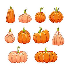 Set of vector pumpkins in cute cartoon style.