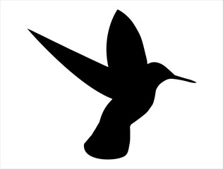 Hummingbird silhouette vector art